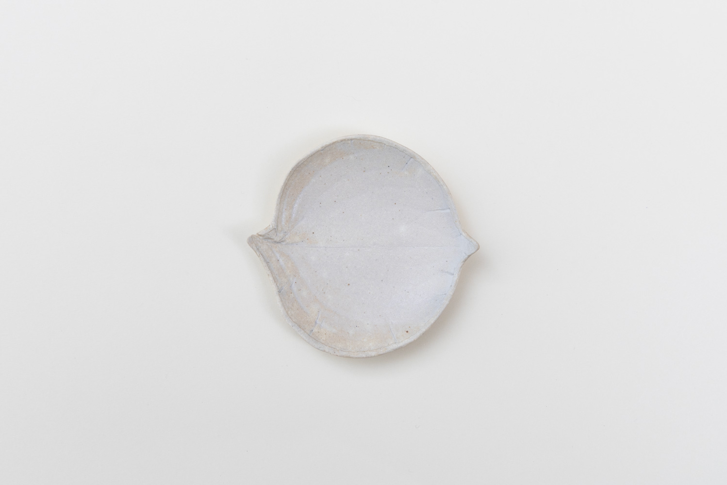 おさら やまぼうし