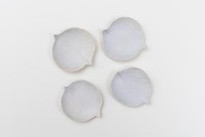 おさら やまぼうし