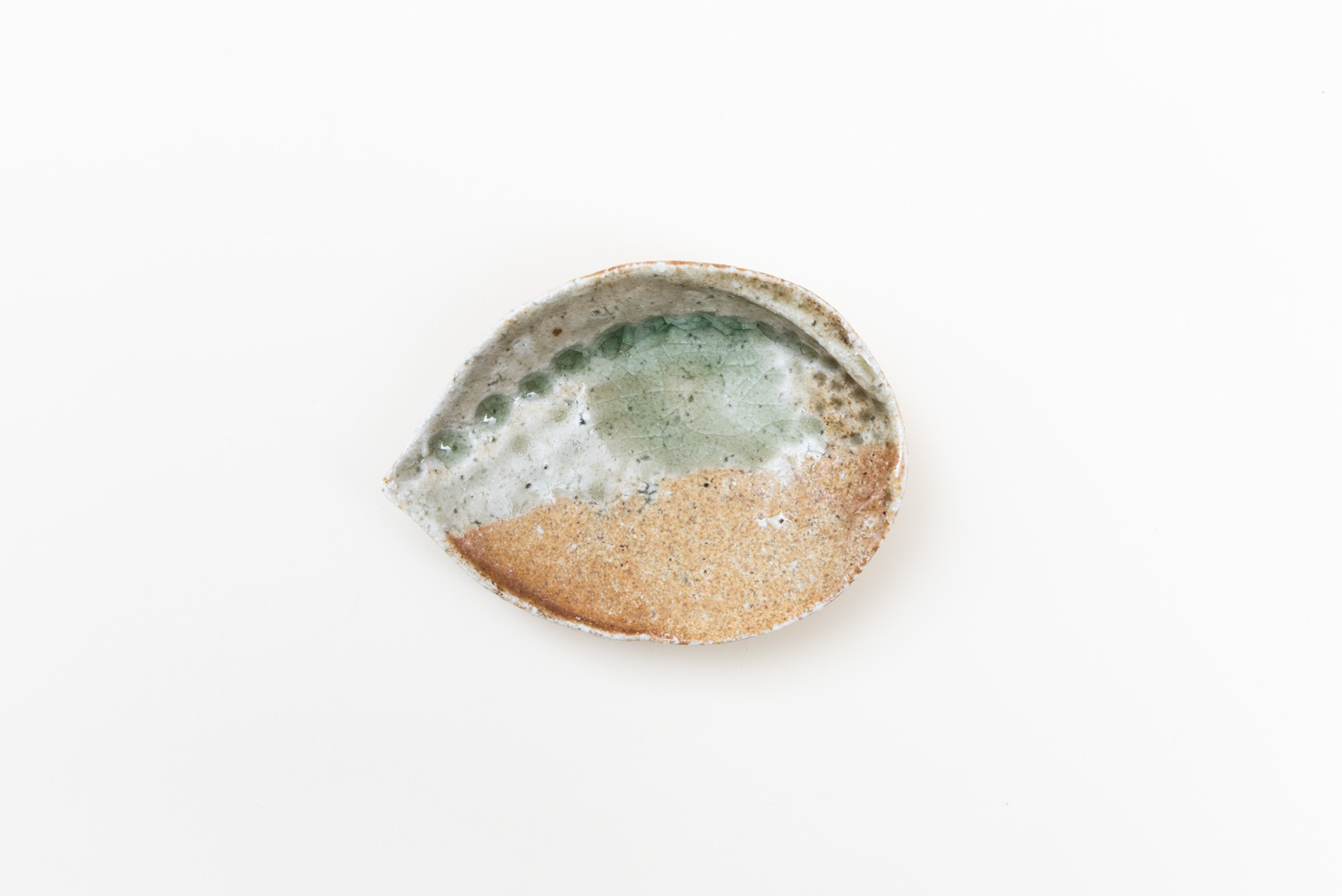 信楽 アワビ向付 小