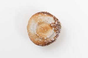 信楽 ぐい呑 (木箱付)