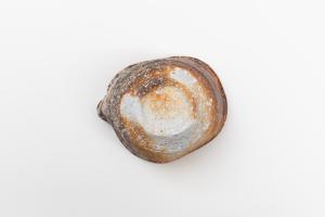 信楽 片口酒器 (木箱付) B