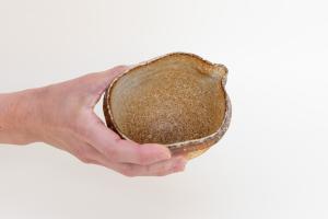 信楽 片口酒器 (木箱付) B