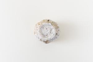 伊賀 ぐい呑み (木箱付)