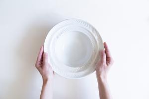 鉄散 リーフリムボウル 8寸