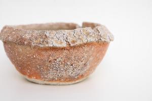 信楽 植木鉢 大