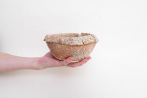 信楽 植木鉢 大