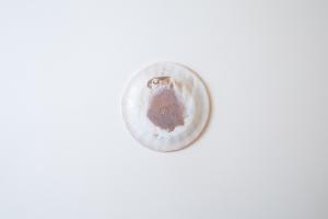 鉄散ラッフルプレート S