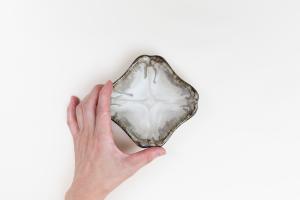 木瓜豆鉢 白