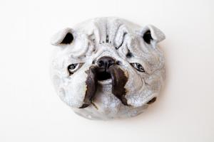 壁掛け お面 パグ