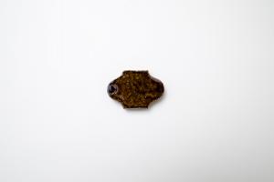 2way台皿 SS アメ