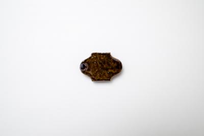 2way台皿 SS アメ