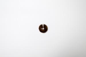 はしおき まる M アメ