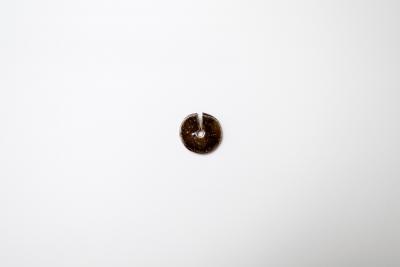 はしおき まる M アメ