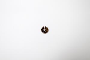 はしおき まる S アメ