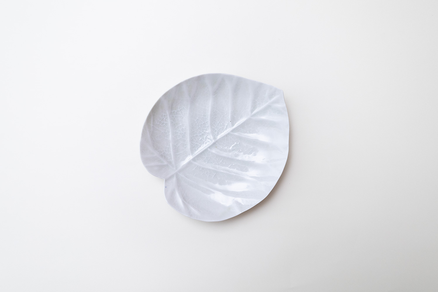 灰青釉 ウンベラータ 六寸皿