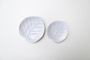 灰青釉 ウンベラータ 六寸皿