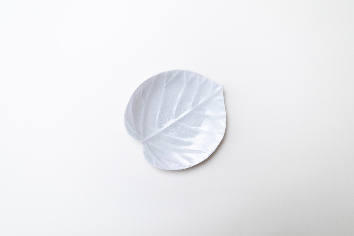 灰青釉 ウンベラータ 五寸皿