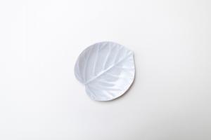 灰青釉 ウンベラータ 五寸皿