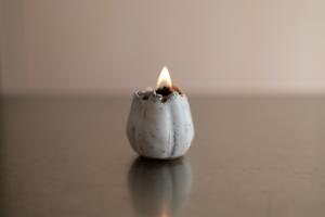 フジツボキャンドル(木芯)