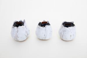 フジツボキャンドル(木芯)