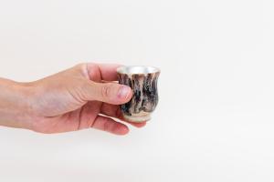 黒流×シルバー 酒器セット