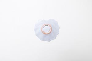 灰青釉 石蕗 四寸皿