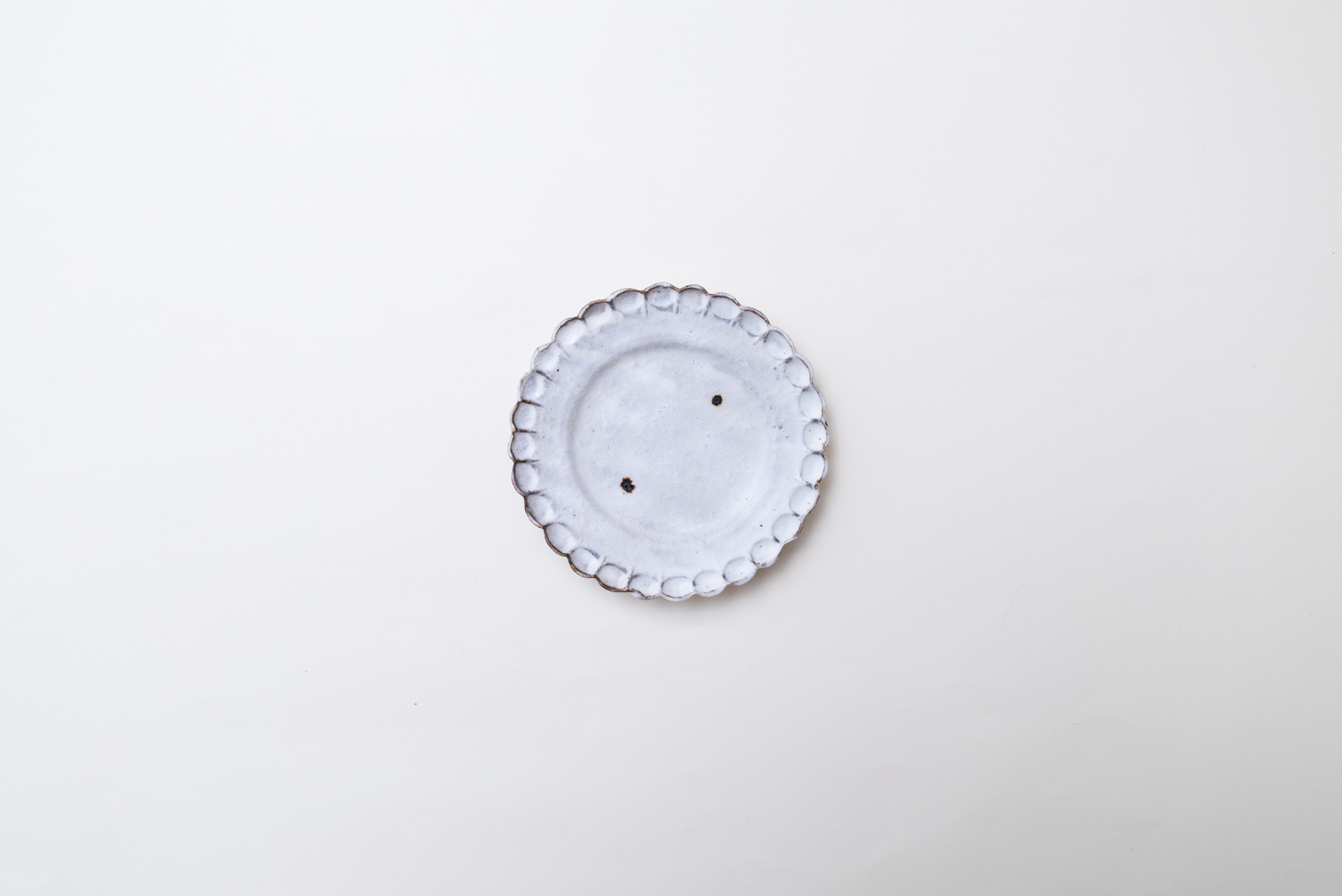 shiro moegi 小菊プレート 小