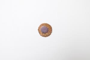 オレンジ マーガレットプレート 小