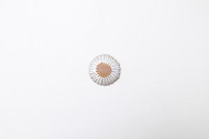 shiroキナリ マーガレットプレート 小