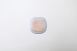 豆皿 ネコ A