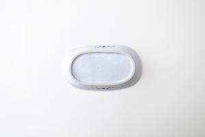 楕円小皿 プロレス(ドロップキック)