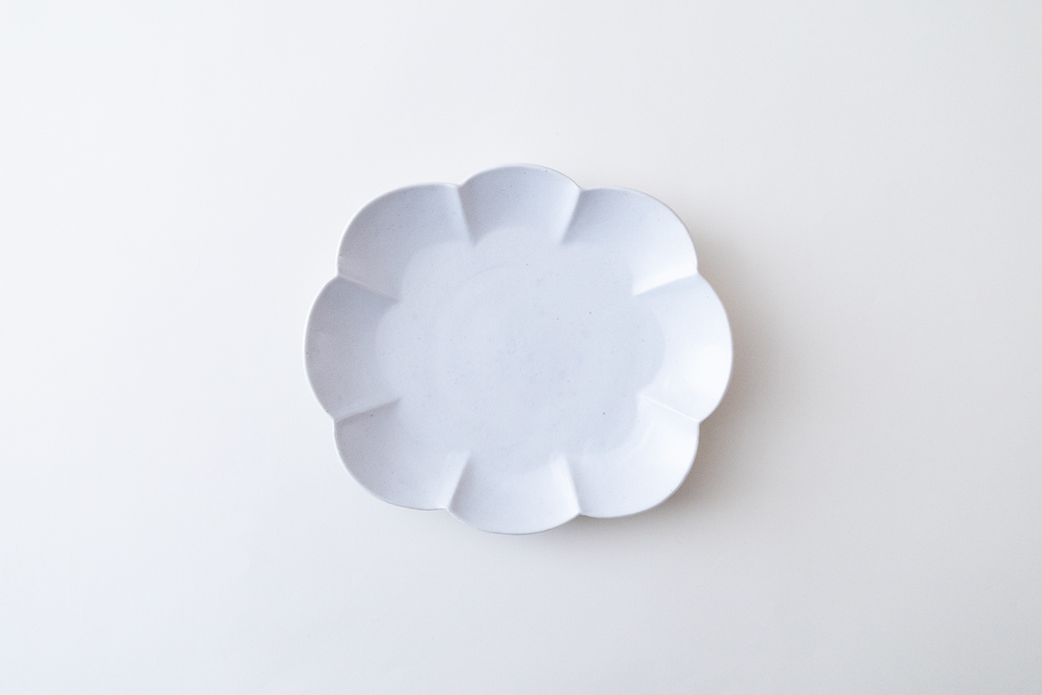 白瓷 輪花楕円皿