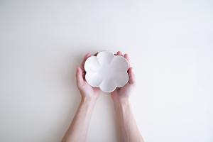 白釉 輪花鉢 柘榴